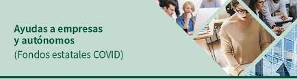 Ayudas a la solvencia para empresas y autónomos